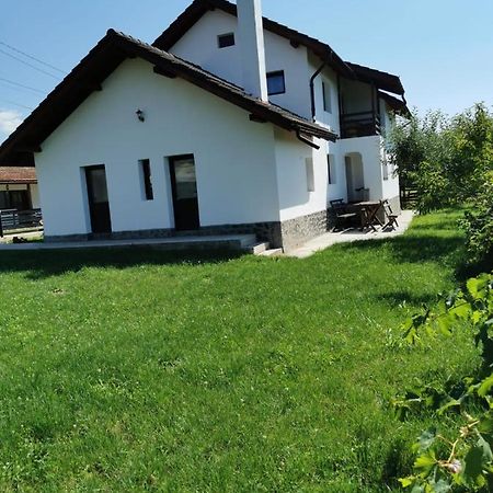 Pensiunea Alina Baia de Fier Kültér fotó
