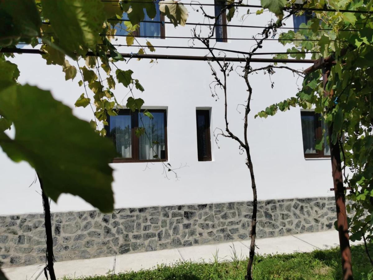 Pensiunea Alina Baia de Fier Kültér fotó