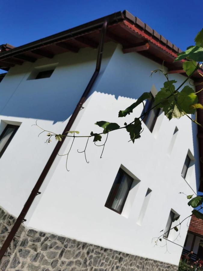 Pensiunea Alina Baia de Fier Kültér fotó