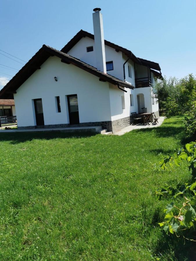 Pensiunea Alina Baia de Fier Kültér fotó