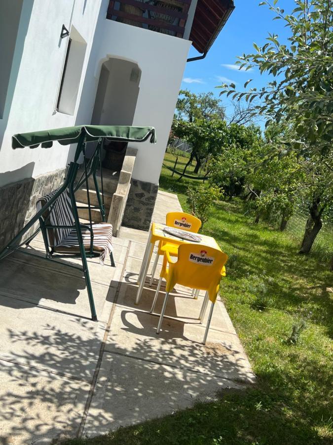 Pensiunea Alina Baia de Fier Kültér fotó