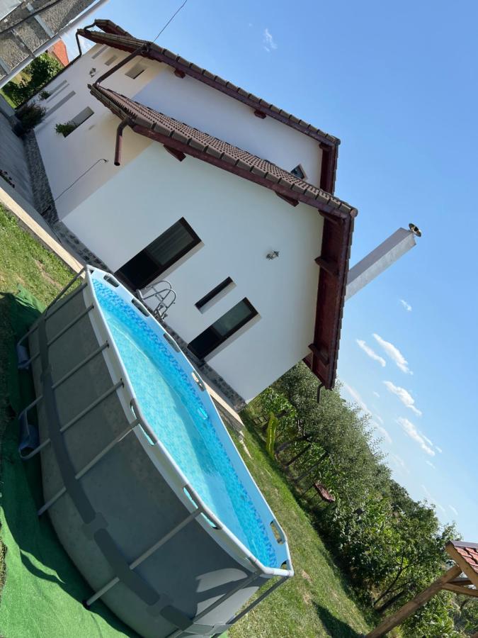 Pensiunea Alina Baia de Fier Kültér fotó